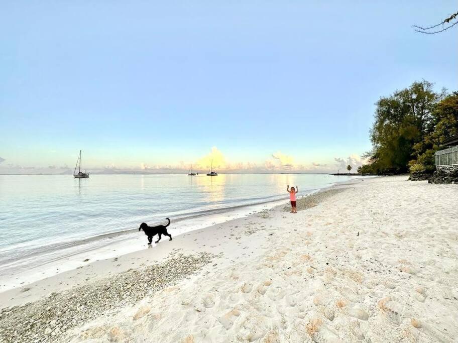 uma pessoa e um cão a passear na praia em Meri Lodge Huahine (Mamado’s House) em Fare