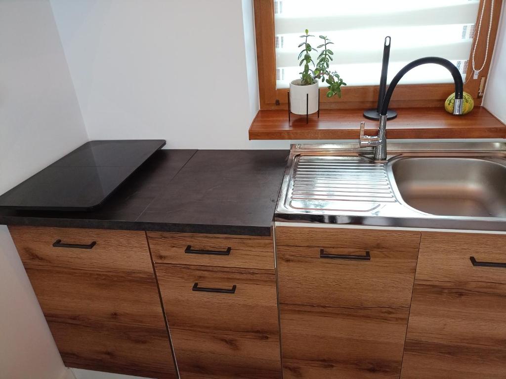 a kitchen with a sink and a counter top at Domek u Gołąbków Bieszczady in Lesko