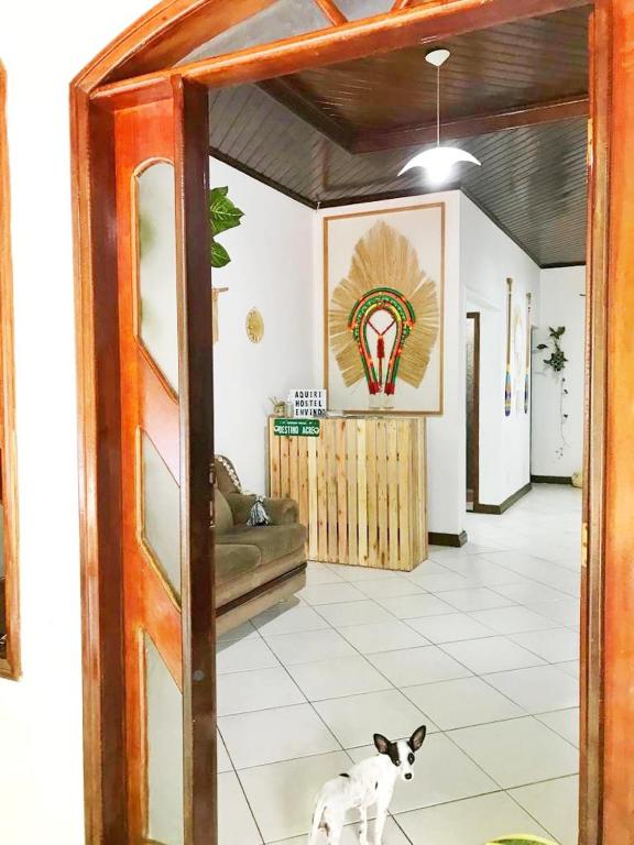 un chien debout dans un salon avec une pièce dans l'établissement Aquiri Hostel, à Rio Branco