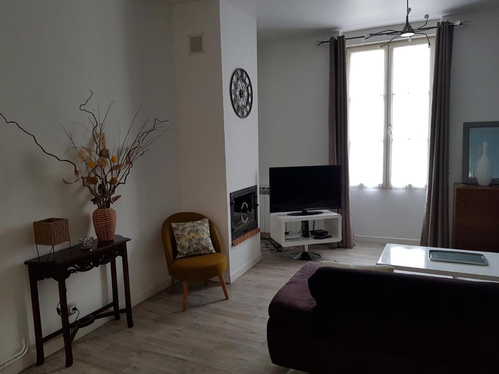 ein Wohnzimmer mit einem Sofa und einem TV in der Unterkunft LA SALAMANDRE in Bordeaux