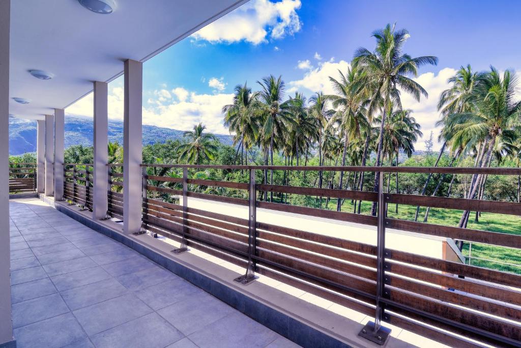 a balcony with palm trees and a view of the mountains at Logement 4 pièces Étang St Paul in Saint-Paul