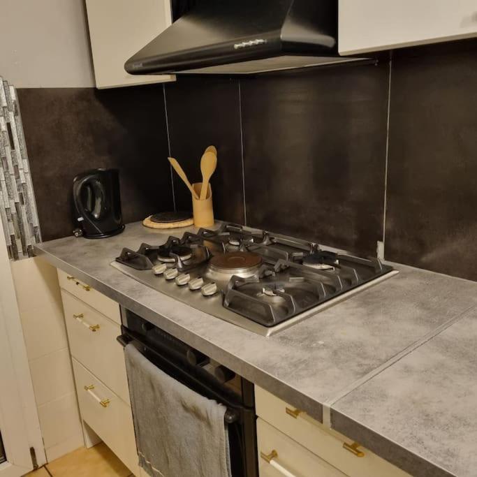 Kuchyň nebo kuchyňský kout v ubytování Les Cigognes de Andolsheim