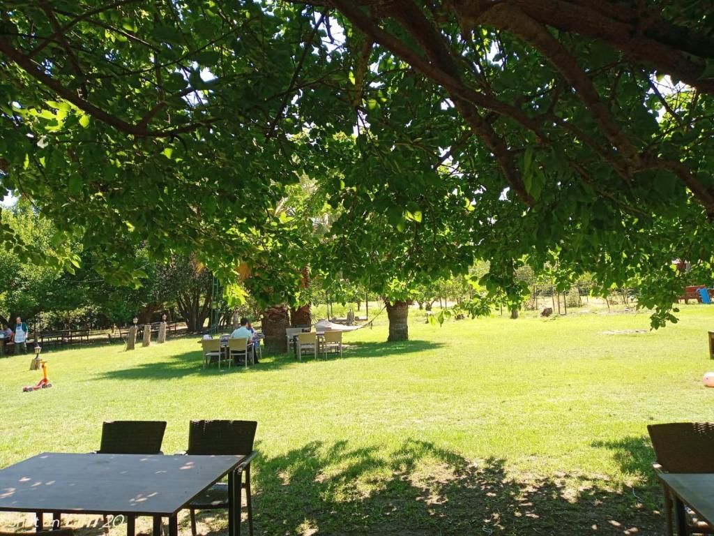 Zahrada ubytování Erdem Ciftligi/ Ephesus Arena