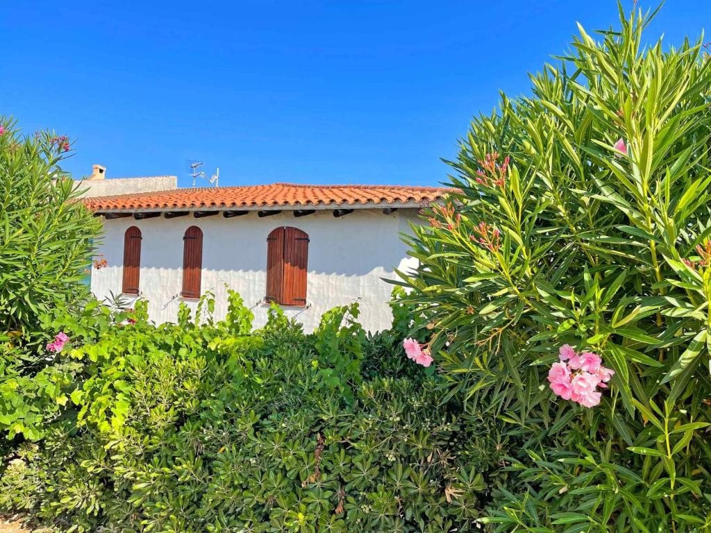 een wit huis met rode ramen en groene struiken bij Villa La Rosa dei Venti in Codaruina
