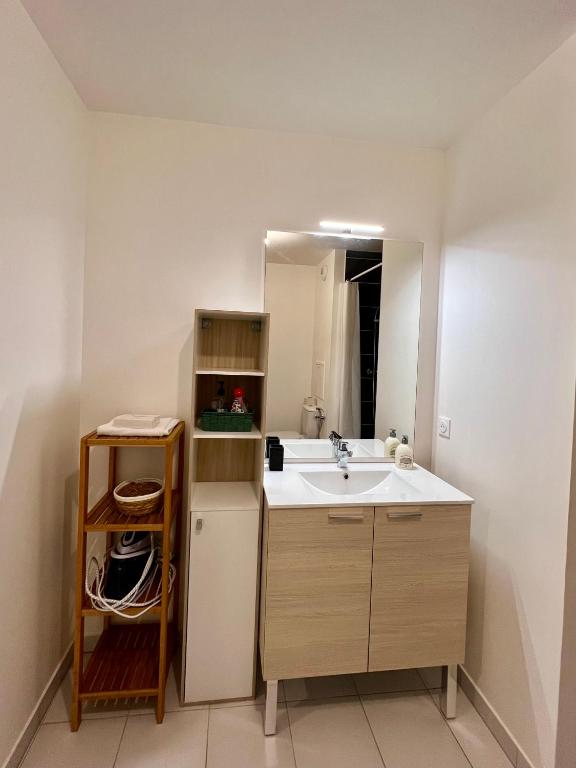 a bathroom with a sink and a mirror at Studio cosy - 15 minutes from Paris and CDG Airport in Le Blanc-Mesnil
