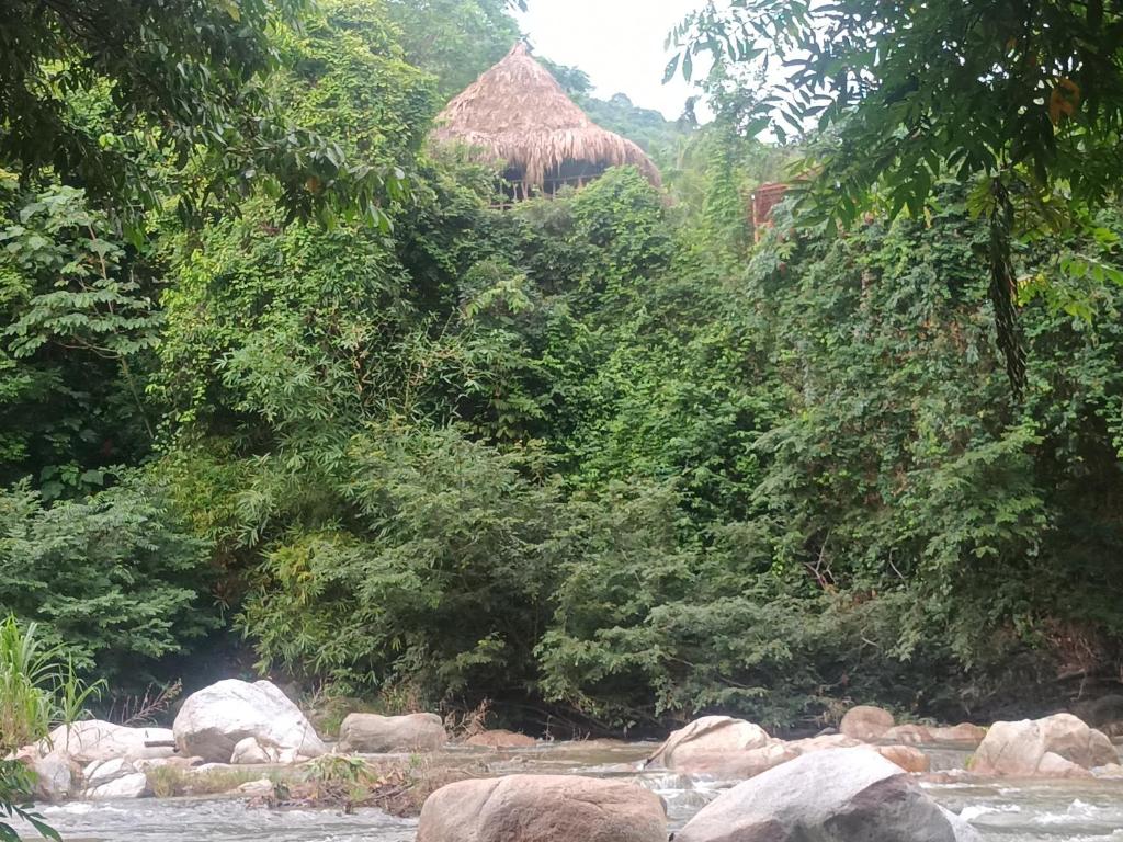 a river with rocks in the middle of a forest at Sierra Tayrona hostel in El Zaino