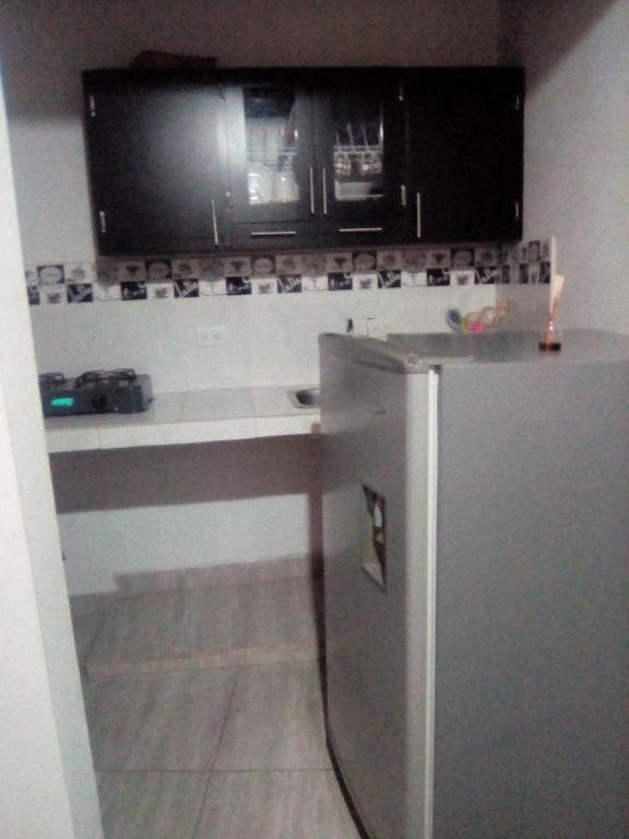 a kitchen with a refrigerator and a microwave at La posada de memo in Guatapé