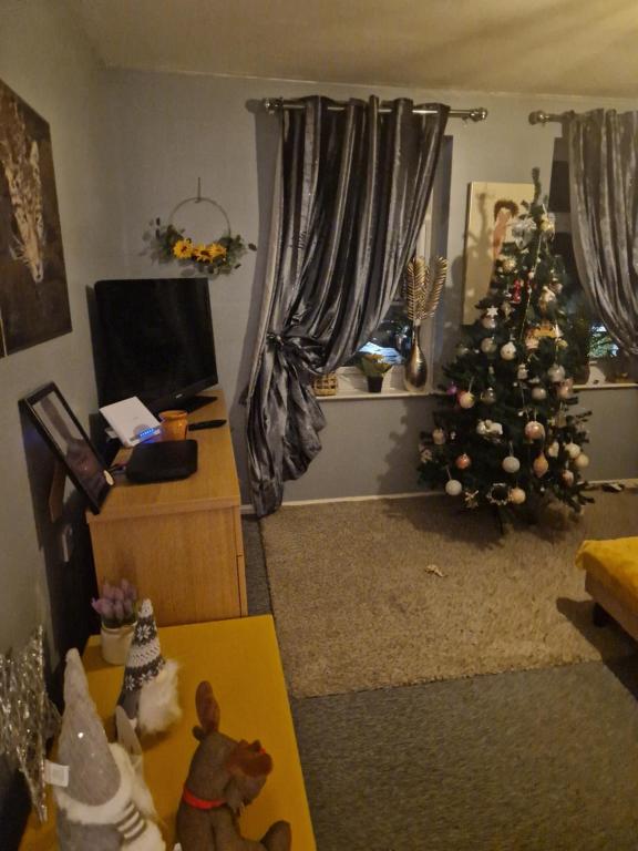 a living room with a christmas tree and a television at Double room in Elloughton