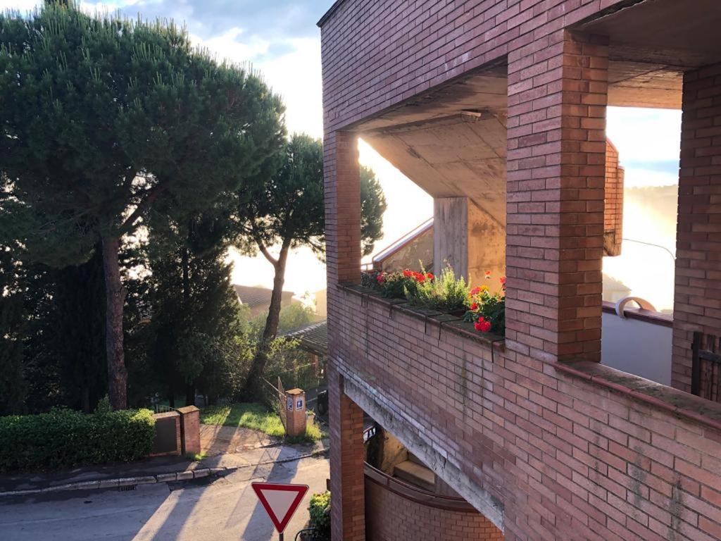 A garden outside IL NIDO DI RONDINE