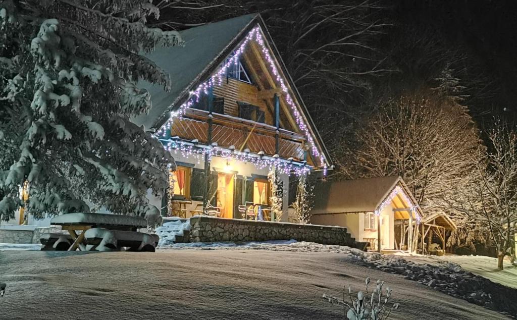 Το Pensiunea Ioana τον χειμώνα