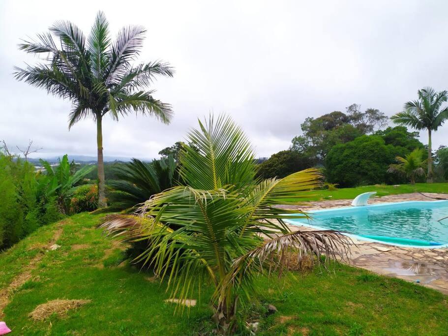 een palmboom naast een zwembad bij Chácara Shekinah in Biritiba-Mirim