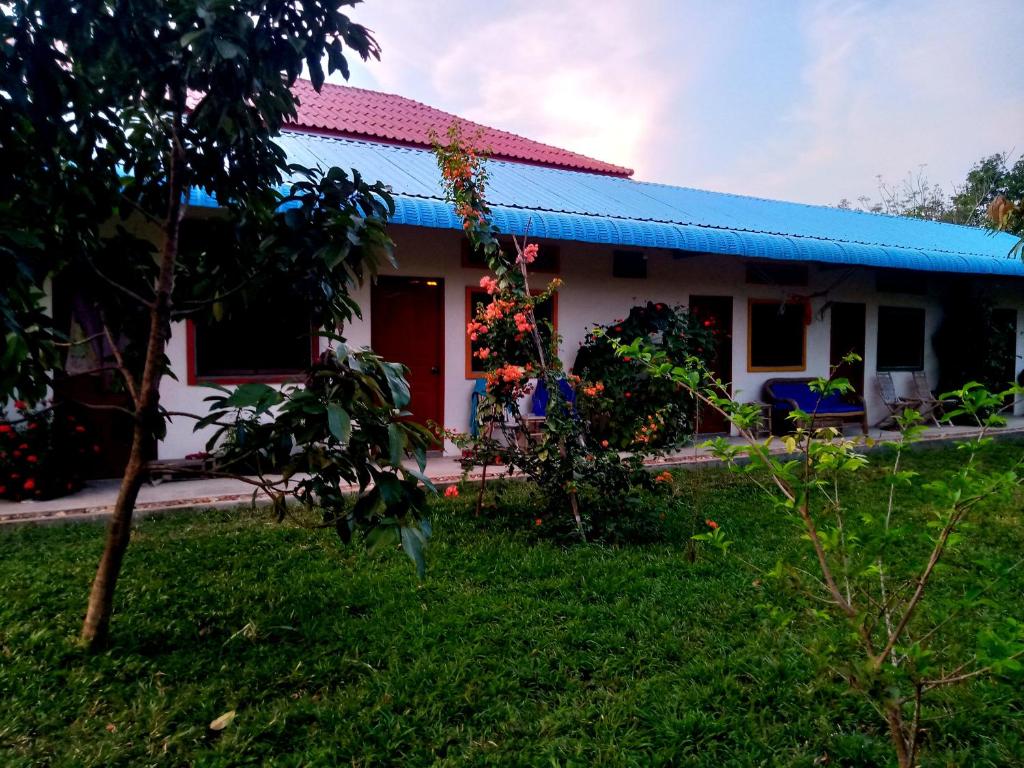Zahrada ubytování Baloo Guesthouse
