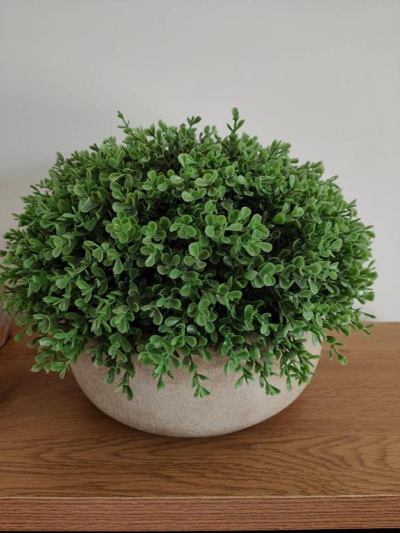 Beautiful home near everything! - Resim 20