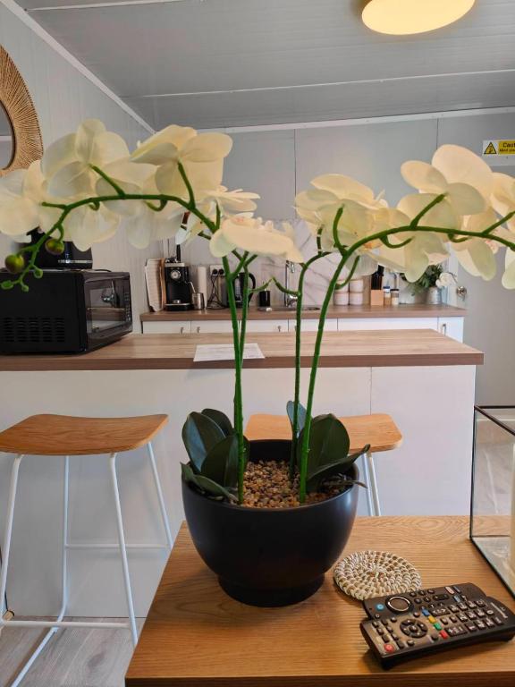 Beautiful 30m2 tiny home! - Resim 7