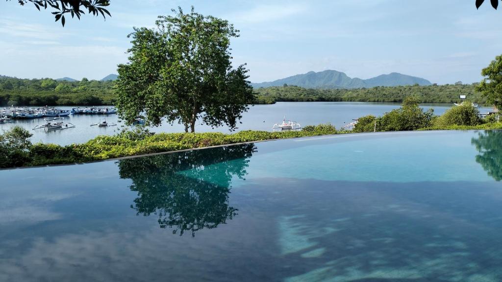 une grande piscine d'eau avec un arbre et un lac dans l'établissement Naya Gawana Resort & Spa, à Banyuwedang