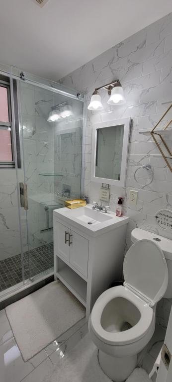 a bathroom with a toilet and a sink and a shower at A Dazzling Destination in Brooklyn