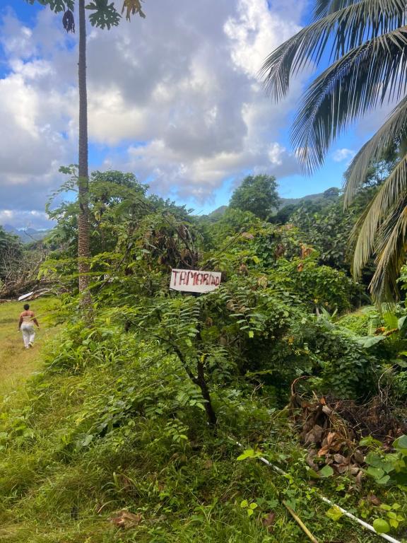 a sign on the side of a hill with a palm tree at Nature World St.Lucia in Castries