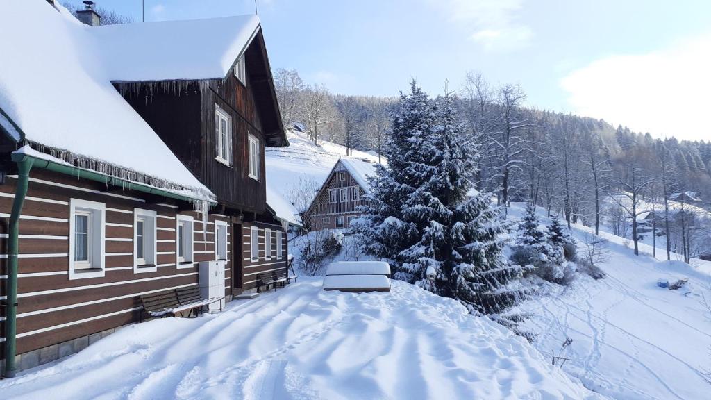 eine schneebedeckte Straße neben einem Haus mit einem schneebedeckten Baum in der Unterkunft Apartmán U Pekařů in Pec pod Sněžkou