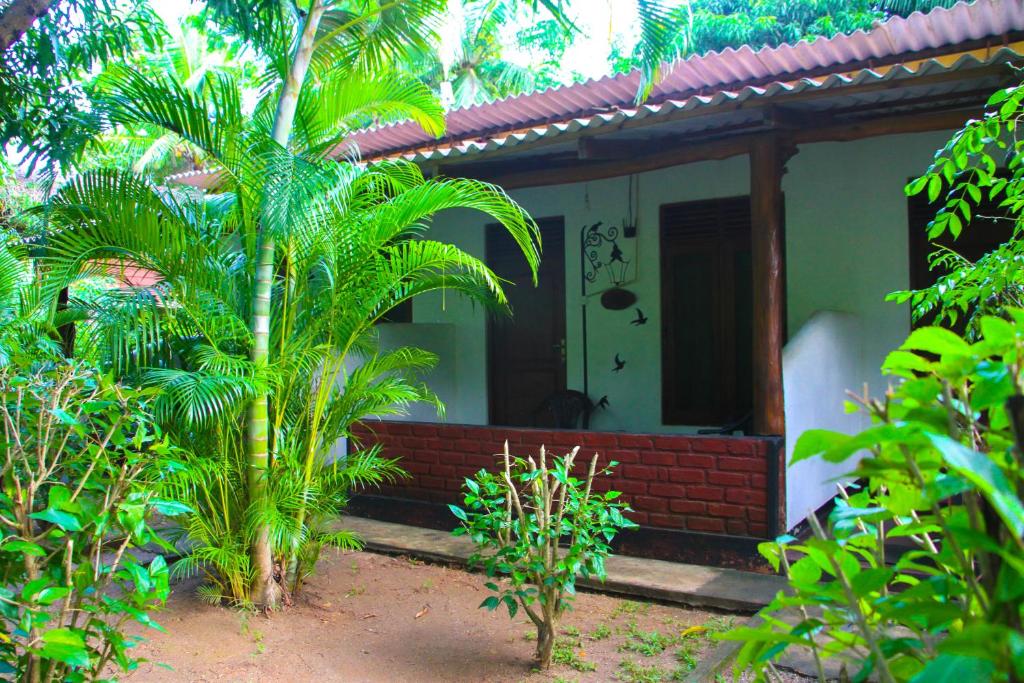 Zahrada ubytování Kolon Resort Sigiriya