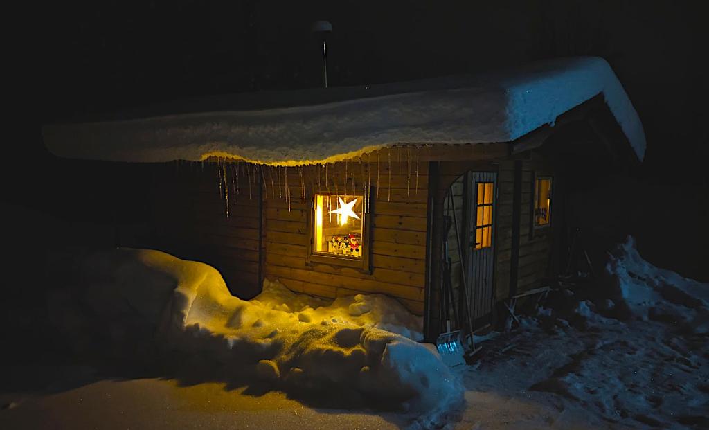 Lapland Snow Moose v zimě