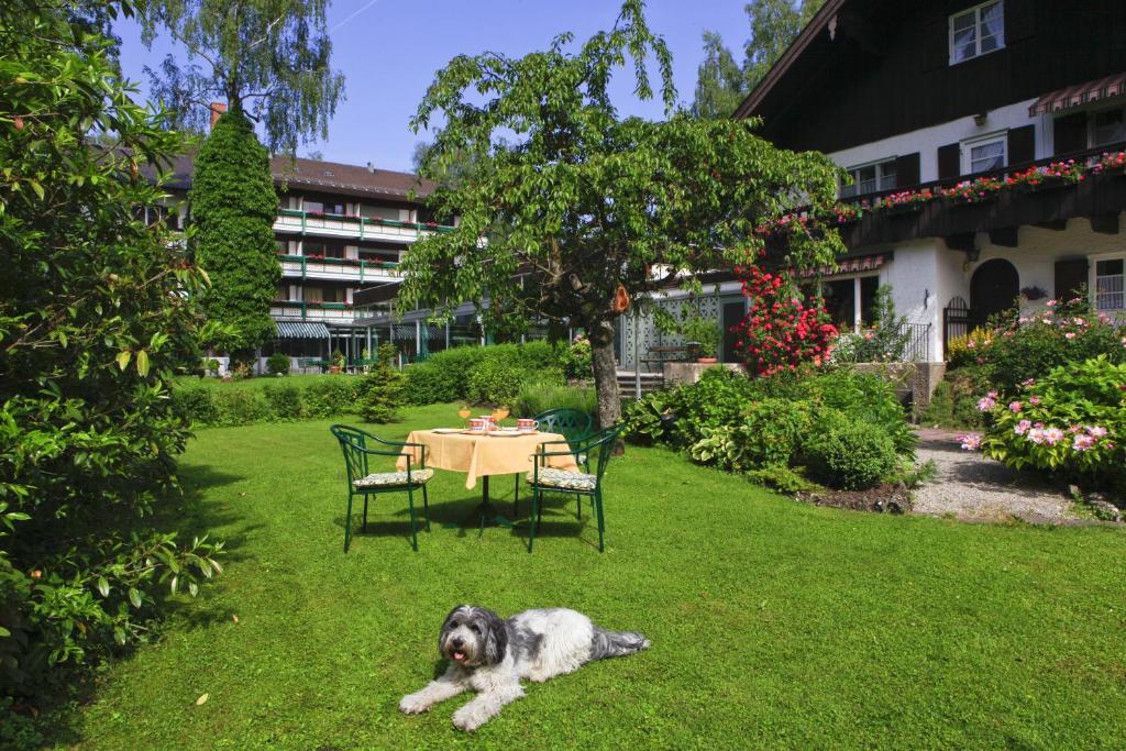 Zahrada ubytování Garden Hotel Reinhart