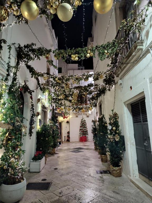 ロコロトンドにあるCasa Zizìのクリスマスの木々とクリスマスの灯りがたっぷりと並ぶ廊下