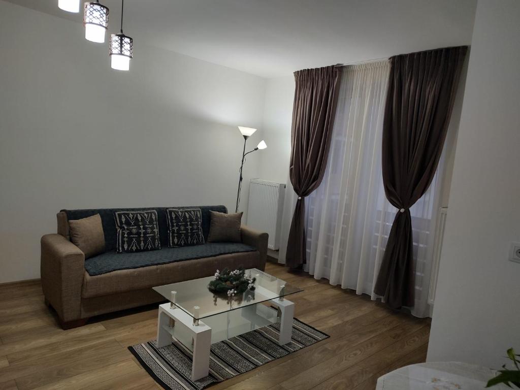 ein Wohnzimmer mit einer Couch und einem Couchtisch in der Unterkunft Casa Ioana in Târgu Mureș