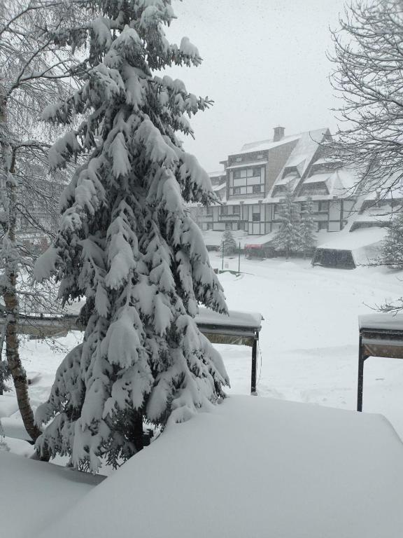 Konaci Kopaonik Lux Apartmani v zimě