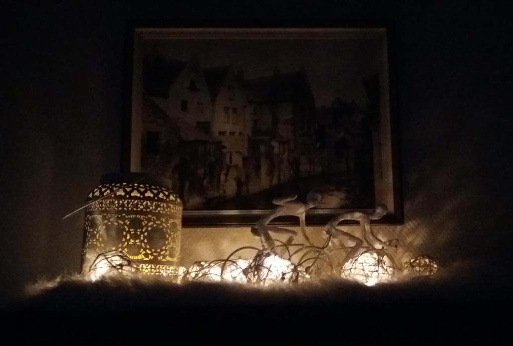 Fotografie z fotogalerie ubytování VELOCIPEDE OUDENAARDE vakantieverblijf 6 pers v destinaci Oudenaarde