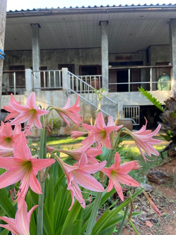 BaanYai Beach Resort Koh Mak - 12