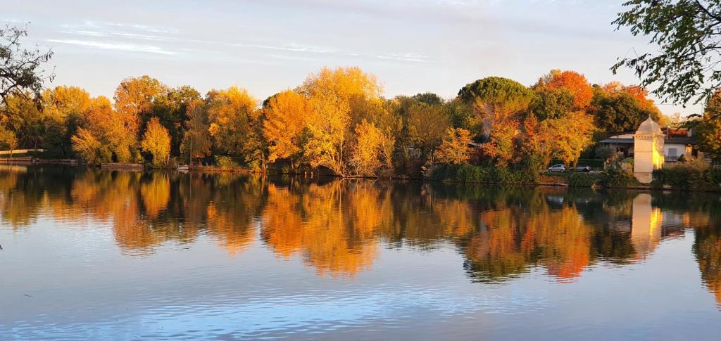 vistas a un lago con árboles que reflejan el agua en Les berges du Seudo, en Labastide-de-Lévis