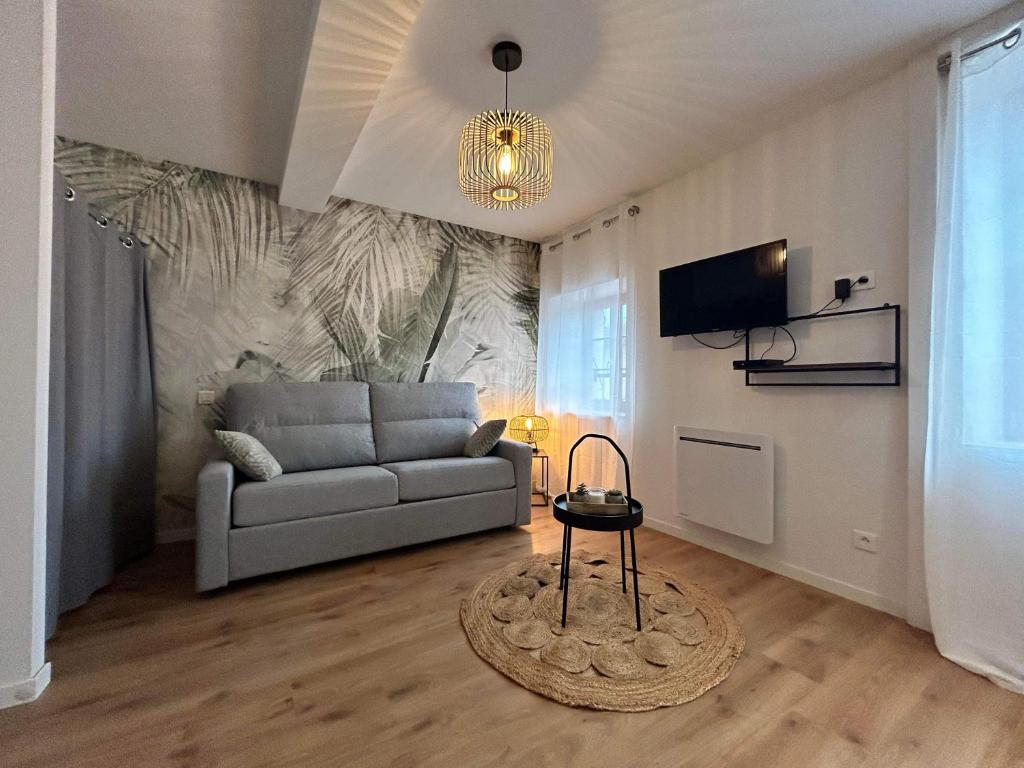 a living room with a couch and a tv at Studio en centre ville + wifi in Labruguière
