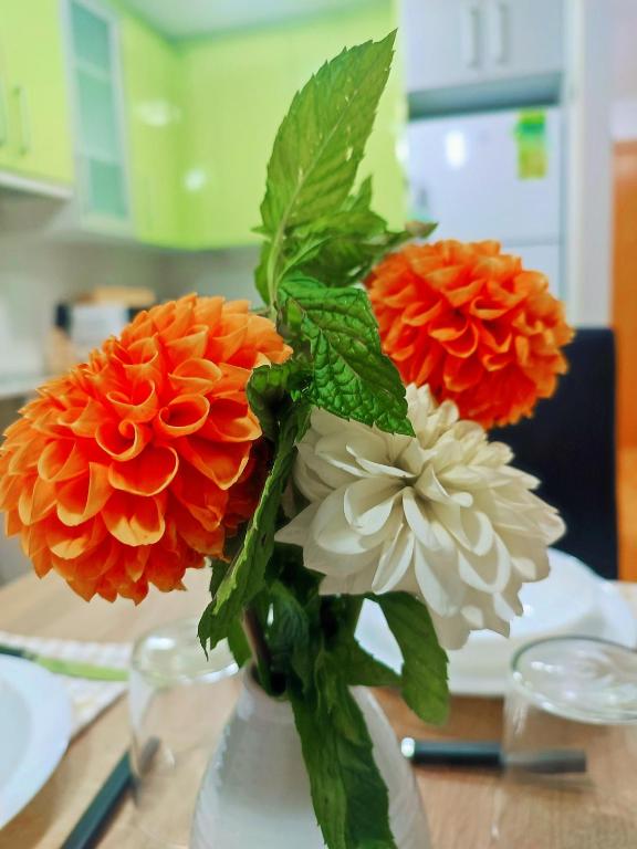 Apartamento Estrella de Teruel - 15