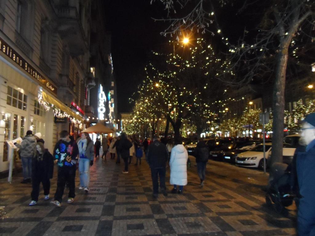 TDC33-boo - Resim 21