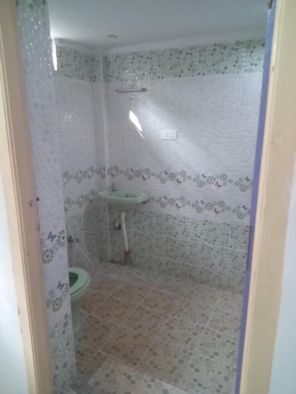 baño con lavabo verde y aseo en Aurodham, en Auroville