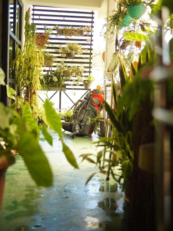 Red wood Inn, Nuwara Eliya (updated prices 2024)