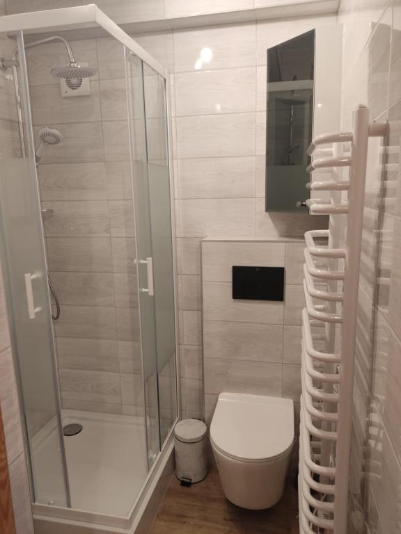 Koupelna v ubytování Apartamenty u drwala