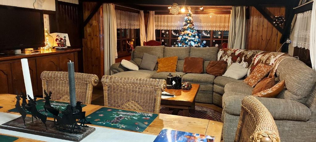 a living room with a couch and a christmas tree at &#39;T boshuisje in Opglabbeek