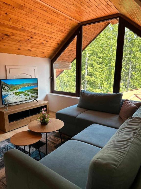 a living room with two couches and a flat screen tv at Pamporovo Rhodopi Pearl Apartments - Private Apartments in Pamporovo