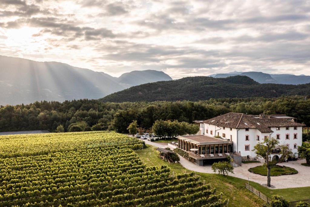 eine Luftansicht eines Weinguts und eines Weinbergs in der Unterkunft Hotel Ansitz Rungghof in Appiano sulla Strada del Vino
