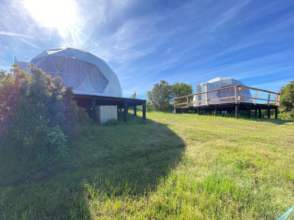 two domes sitting on top of a grass field at Milenaria Glamping in Panguipulli