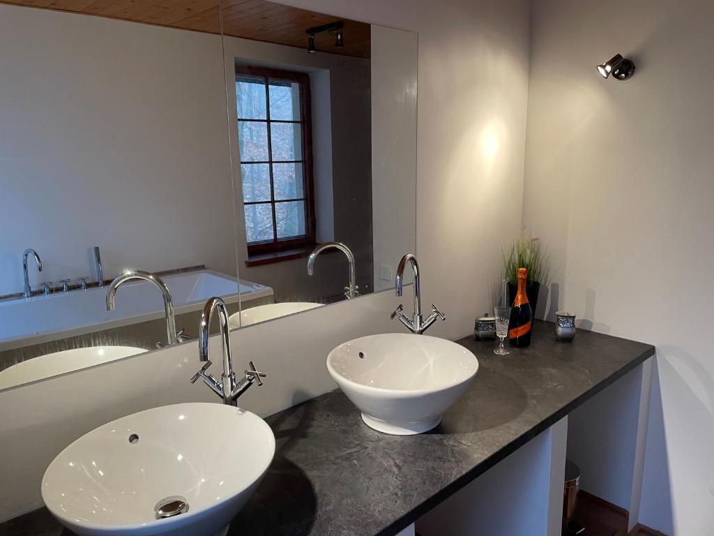 Koupelna v ubytování Apartmány Telnice - Medorhof