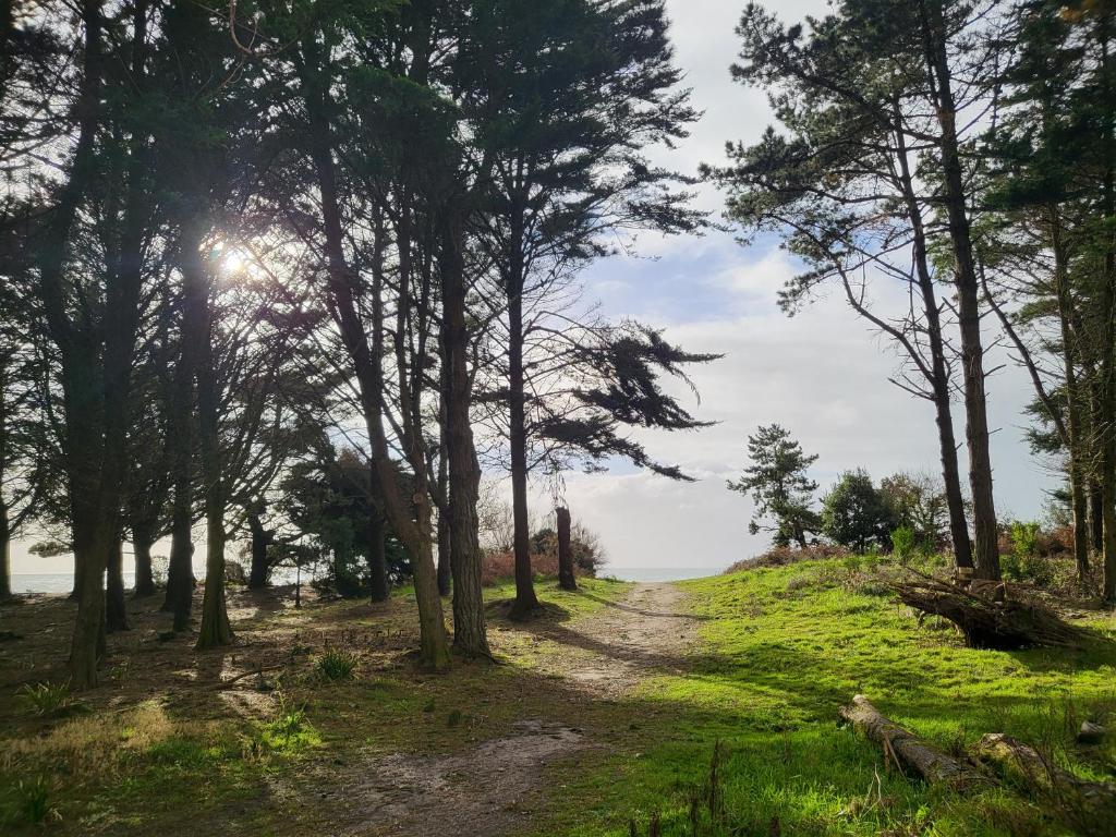 un chemin de terre à travers une forêt arborée dans l'établissement Plage des Dunes - Grand Studio ouvert avec 1 mezzanine et 1 alcôve, à Fouesnant