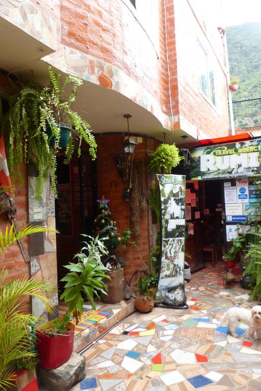 a building with a bunch of potted plants on the ground at Hostal La Casa Amarilla City in Baños