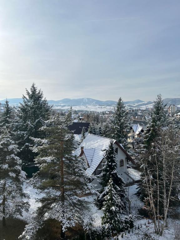 Queen of Zlatibor - Resim 11