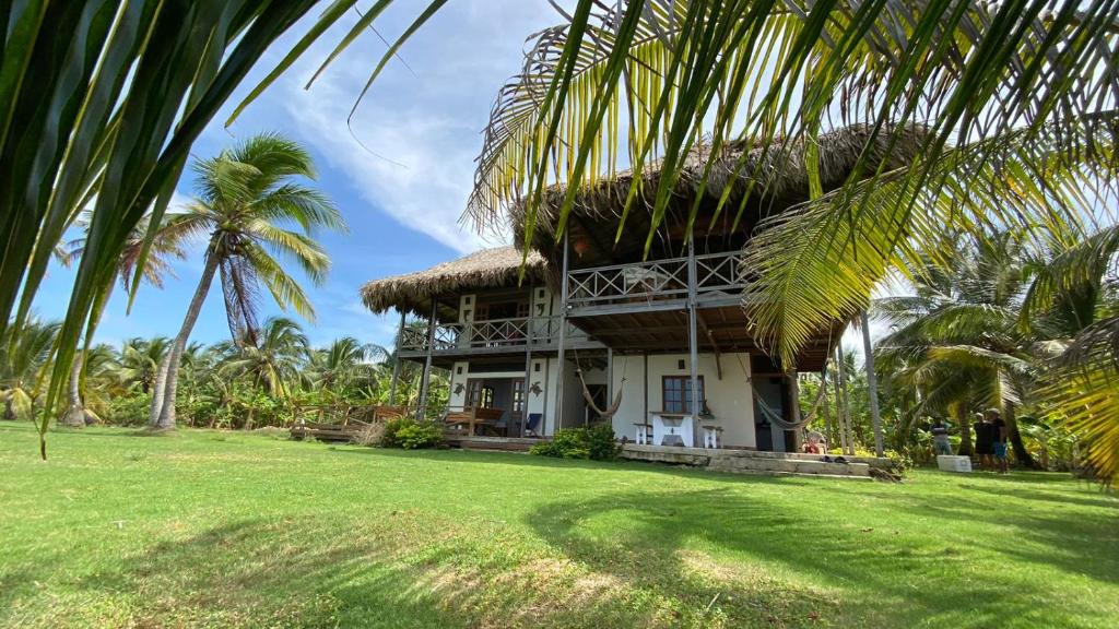 casa atropical com telhado de palha e palmeiras em Playa Cangrejo em Moñitos