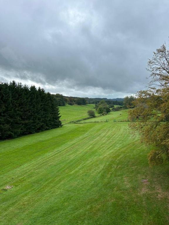 un grand champ verdoyant avec des arbres au loin dans l'établissement Château de Porcheresse, à Daverdisse