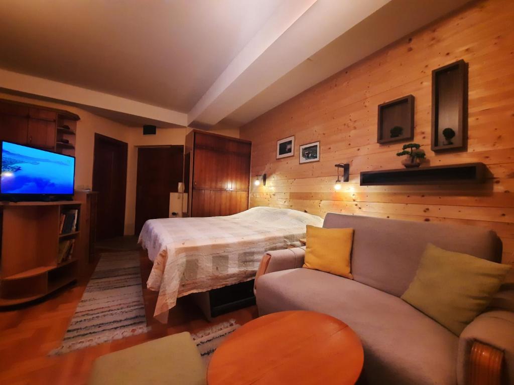 ein Schlafzimmer mit einem Bett, einem Sofa und einem TV in der Unterkunft Luccia Apartments - Ohrid City Centre in Ohrid