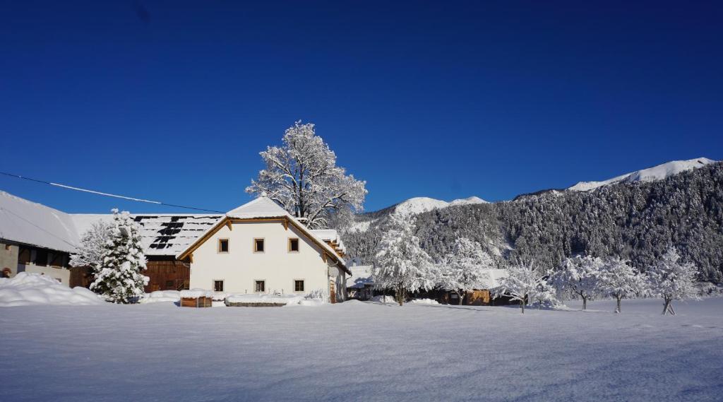 a house covered in snow in front of a mountain at Ferien am Land - WALDBAUER in Rossleithen