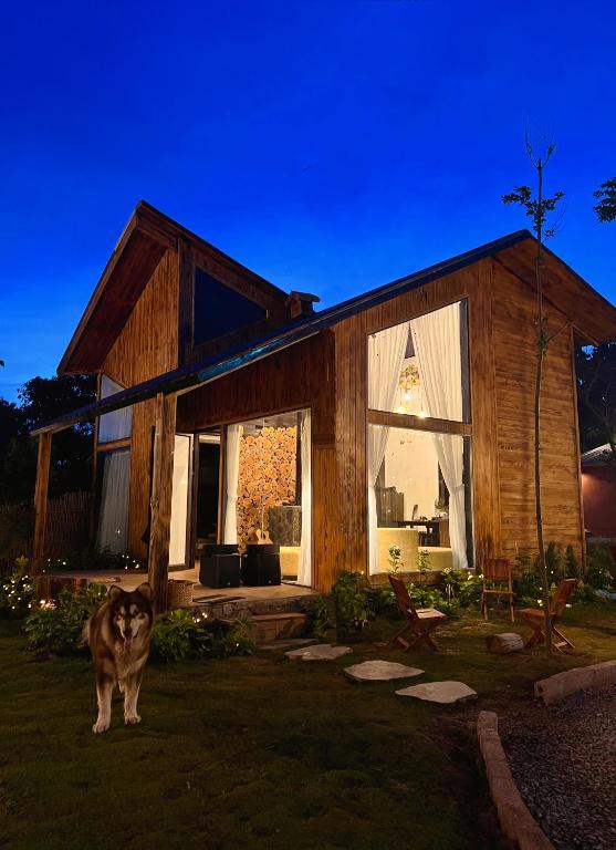 a dog standing in front of a house at Mật Pet Farm - Mộc Châu in Mộc Châu